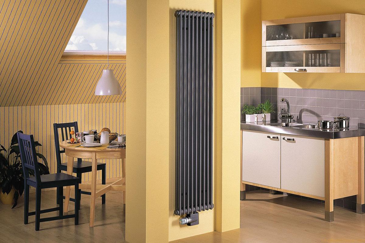 Вертикальные радиаторы отопления для квартиры и батареи трубчатые .